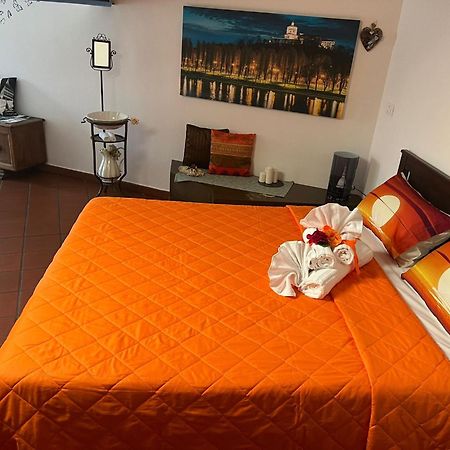 Historic Center Via Po Apartment Турин Екстер'єр фото